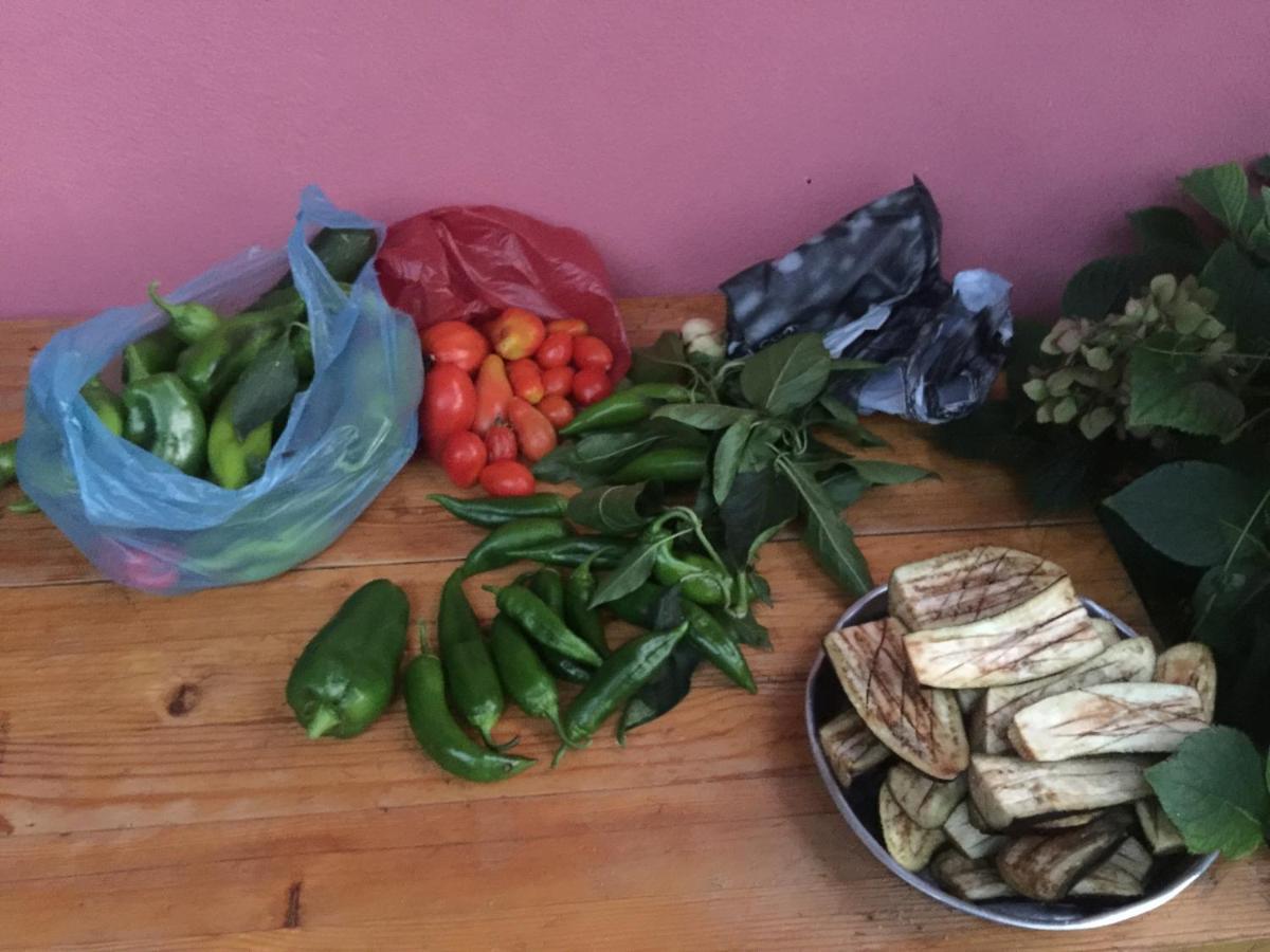 Florians Guesthouse Shkodër Dış mekan fotoğraf